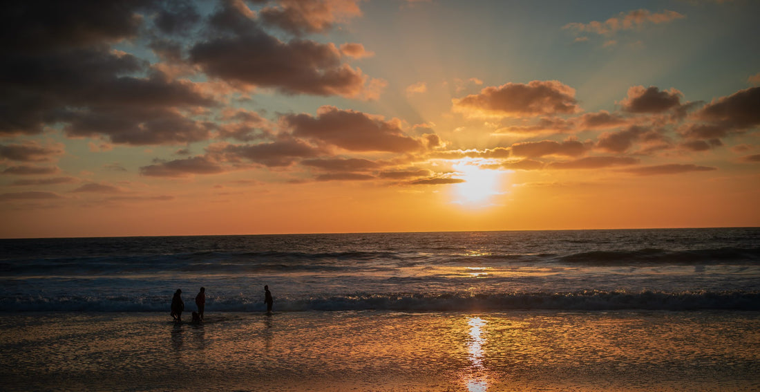 Beach Sunset Picture